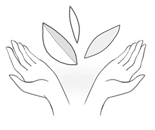 Culotte menstruelle : le produit éco-responsable des femmes en 2019