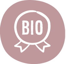 sisters-republic-fr-la-culotte-menstruelle-en-tissus-bio-efficace-12h-sans-fuite-ni-odeur-ni-sensation-d-39-humidite-elue-quot-victoire-de-la-beaute-top-innovation-quot