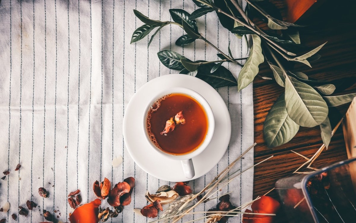 tisane regle douloureuse