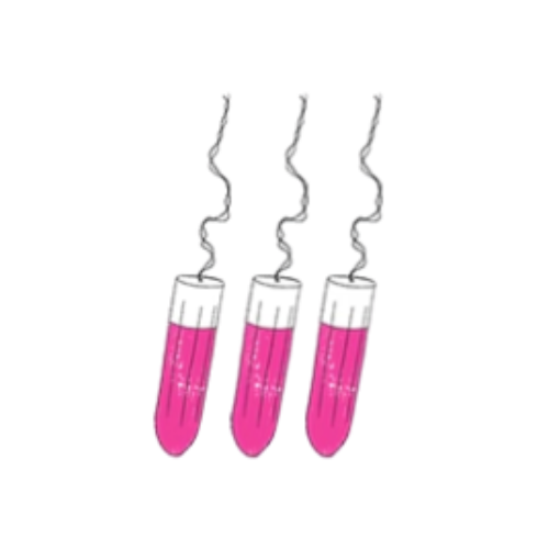 sisters-republic-fr-la-culotte-menstruelle-en-tissus-bio-efficace-12h-sans-fuite-ni-odeur-ni-sensation-d-39-humidite-elue-quot-victoire-de-la-beaute-top-innovation-quot
