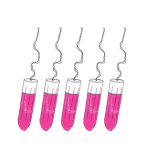 sisters-republic-fr-la-culotte-menstruelle-en-tissus-bio-efficace-12h-sans-fuite-ni-odeur-ni-sensation-d-39-humidite-elue-quot-victoire-de-la-beaute-top-innovation-quot