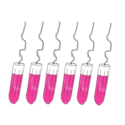 sisters-republic-fr-la-culotte-menstruelle-en-tissus-bio-efficace-12h-sans-fuite-ni-odeur-ni-sensation-d-39-humidite-elue-quot-victoire-de-la-beaute-top-innovation-quot