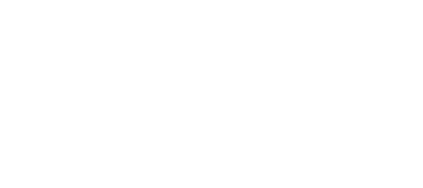 Logo sisters republic blanc