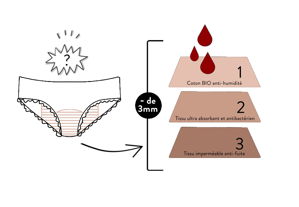 SCHEMA absorption.gif