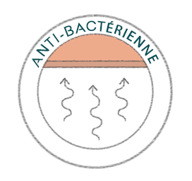 icone-anti-bacterienne